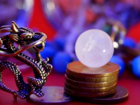signe astrologique chinois